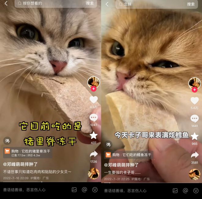 目Top3这条千亿赛道杀出一匹黑马CQ9电子登录注册年销2亿抖音类(图2)