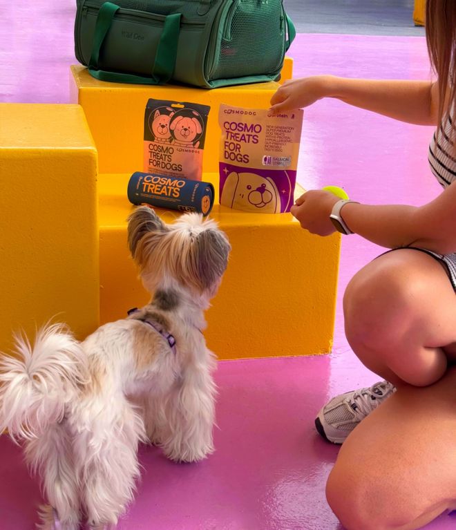 pet宠物零食以昆虫蛋白开辟全新赛道CQ9电子平台中俄联合品