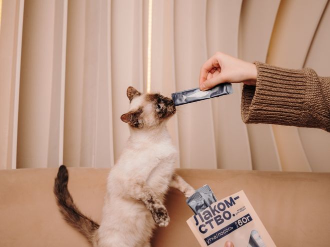 pet宠物零食以昆虫蛋白开辟全新赛道CQ9电子平台中俄联合品牌cosmo(图2)